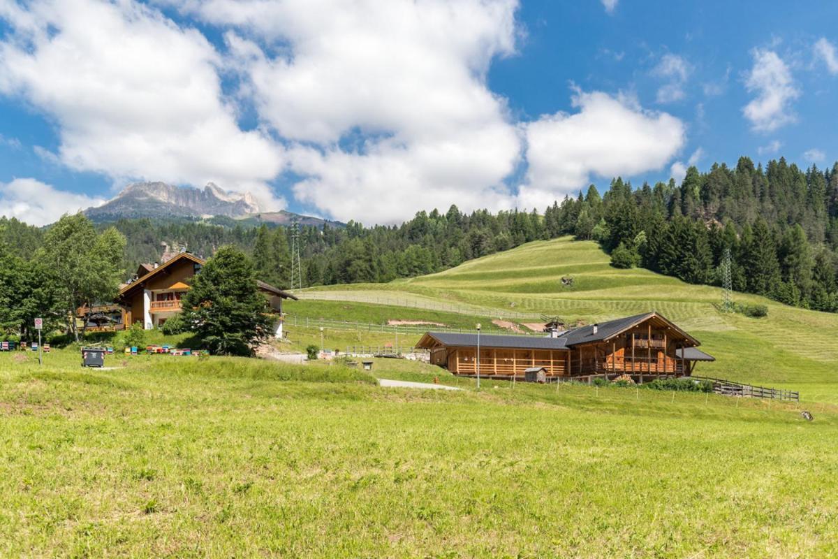ソラーガ Agritur Ciasa Do Pareヴィラ エクステリア 写真