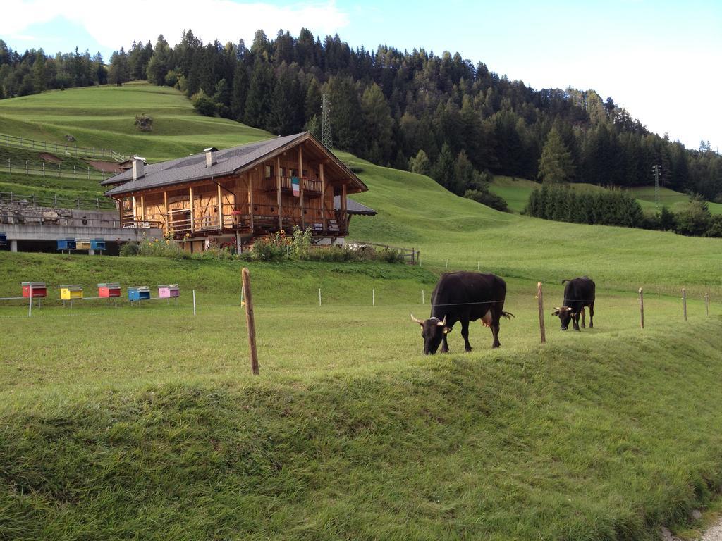 ソラーガ Agritur Ciasa Do Pareヴィラ エクステリア 写真