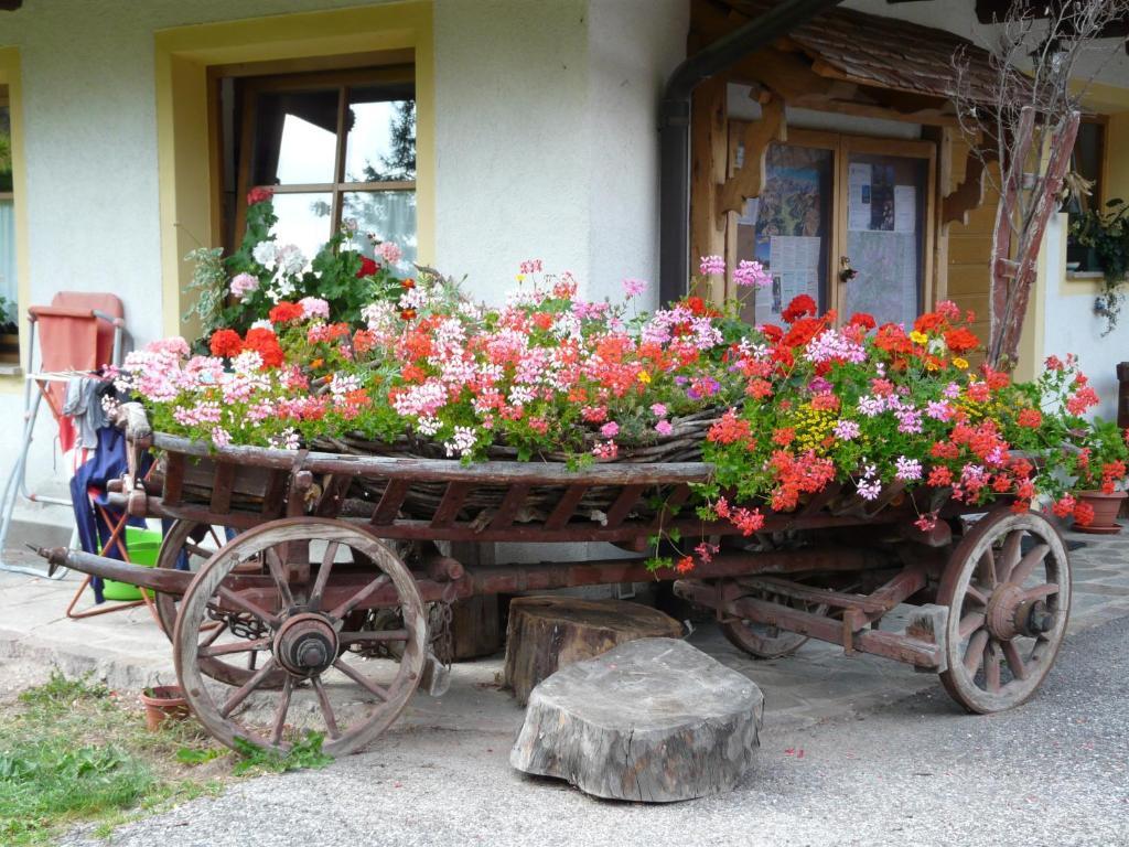 ソラーガ Agritur Ciasa Do Pareヴィラ エクステリア 写真
